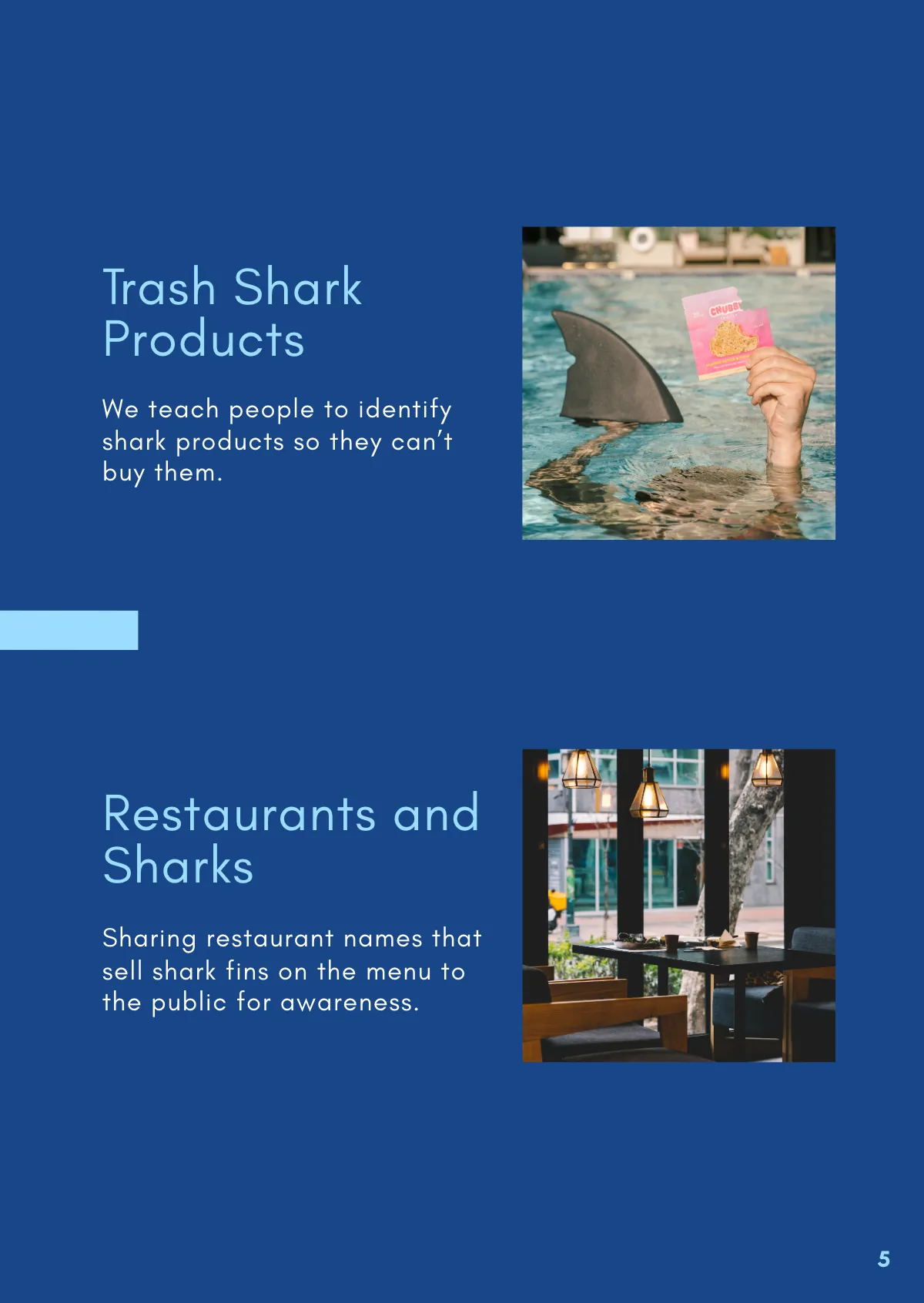 Free Nonprofit Booklet Template to Edit Online