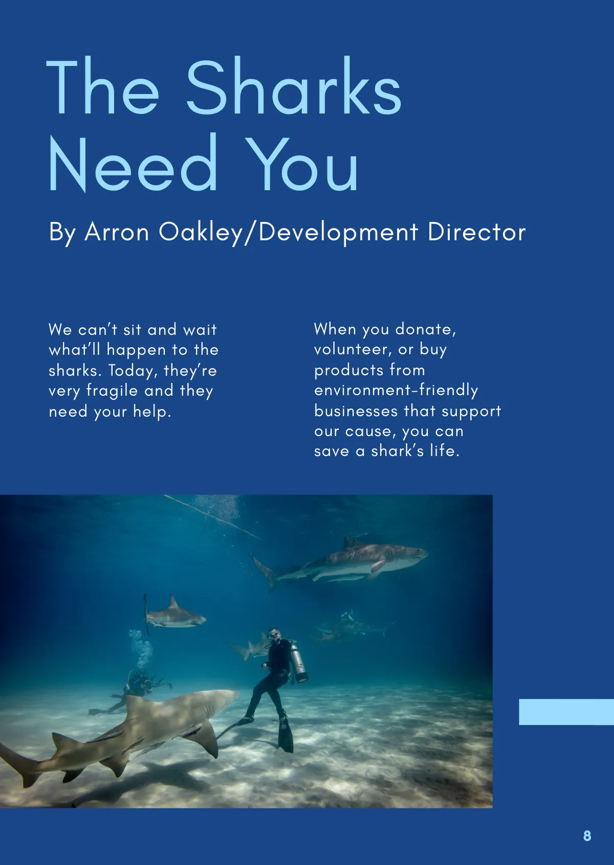 Free Nonprofit Booklet Template to Edit Online