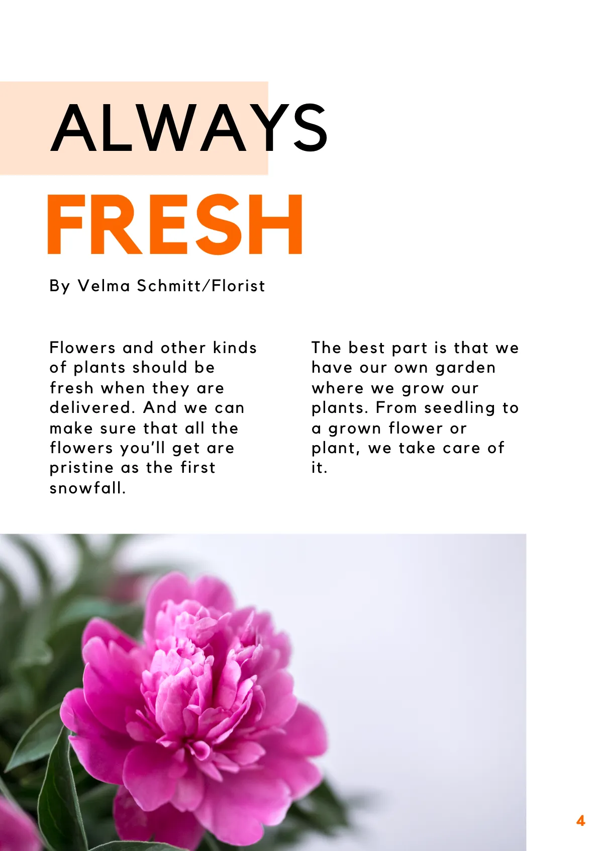 Free Floral Booklet Template to Edit Online