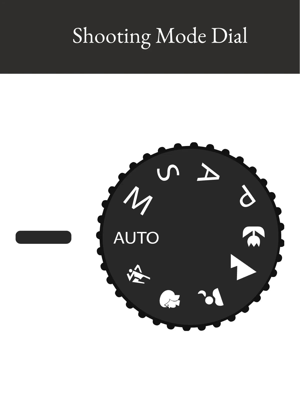 Free Camera Snap Card Template to Edit Online