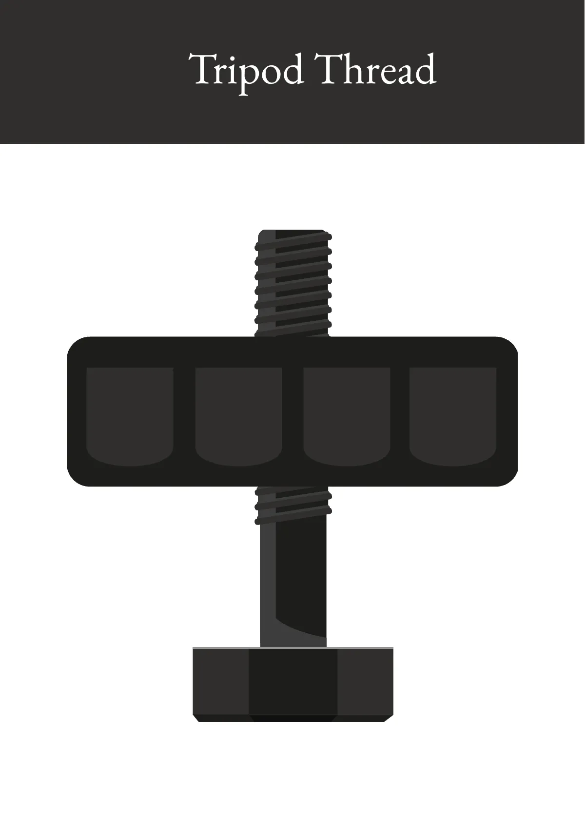 Free Camera Snap Card Template to Edit Online