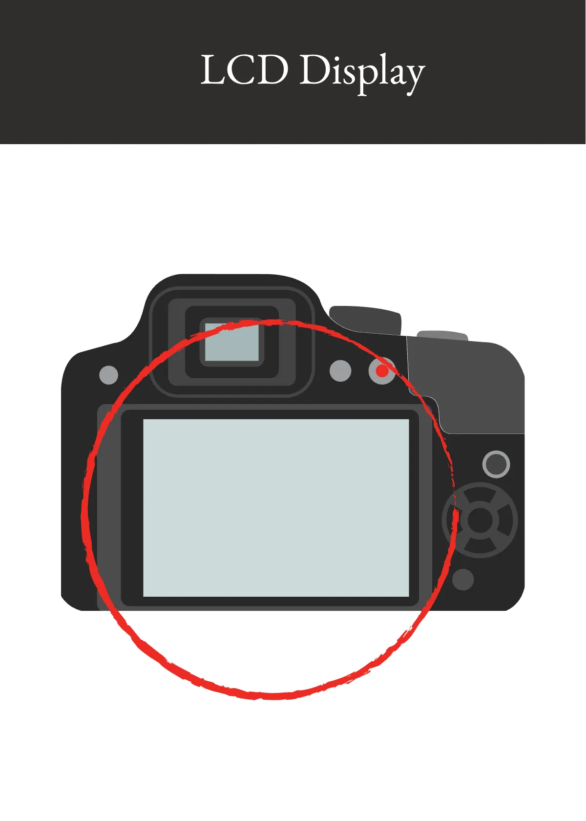 Free Camera Snap Card Template to Edit Online