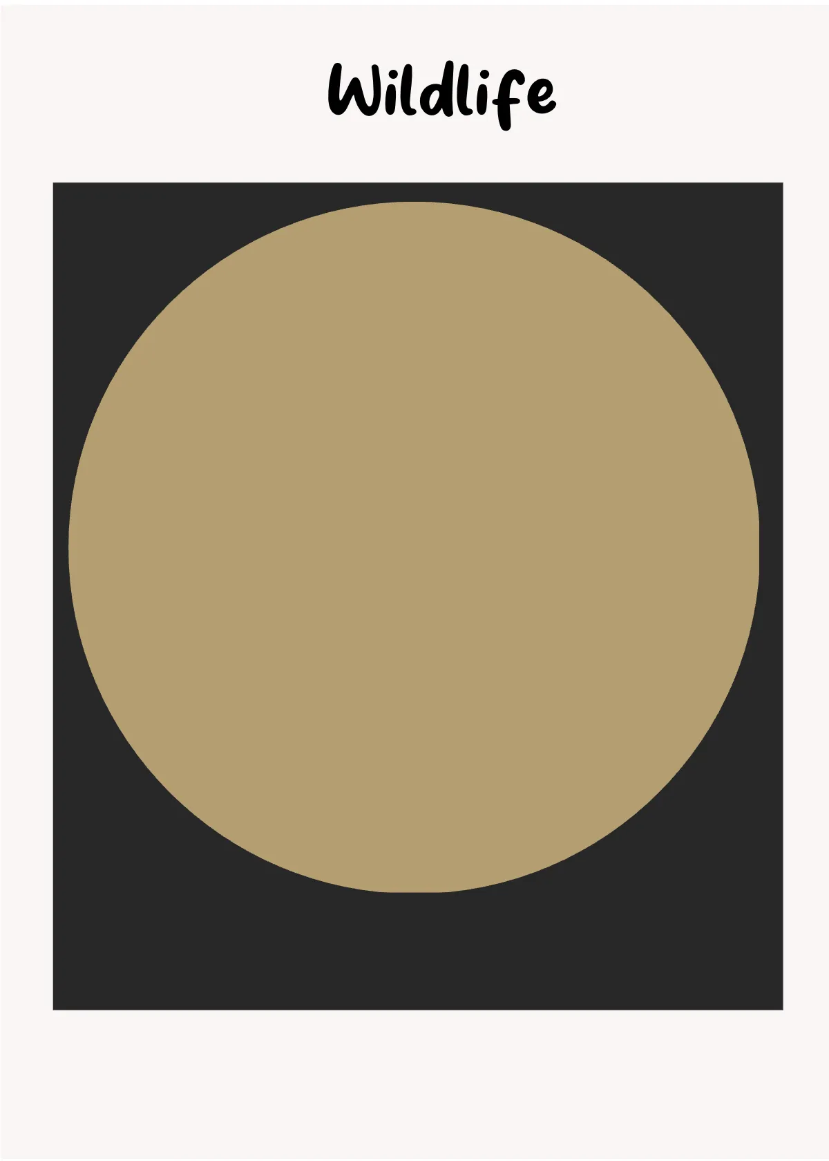 Free Photography Snap Card Template to Edit Online