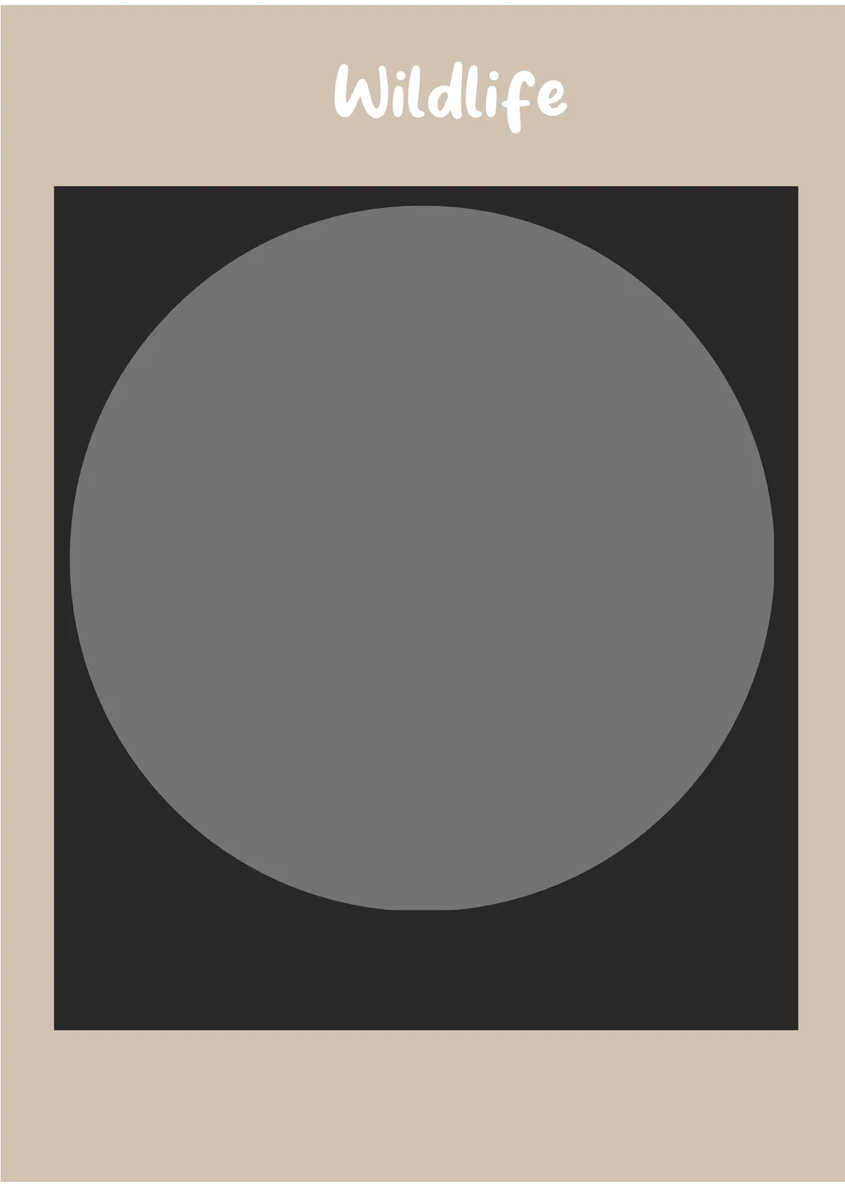 Free Photography Snap Card Template to Edit Online