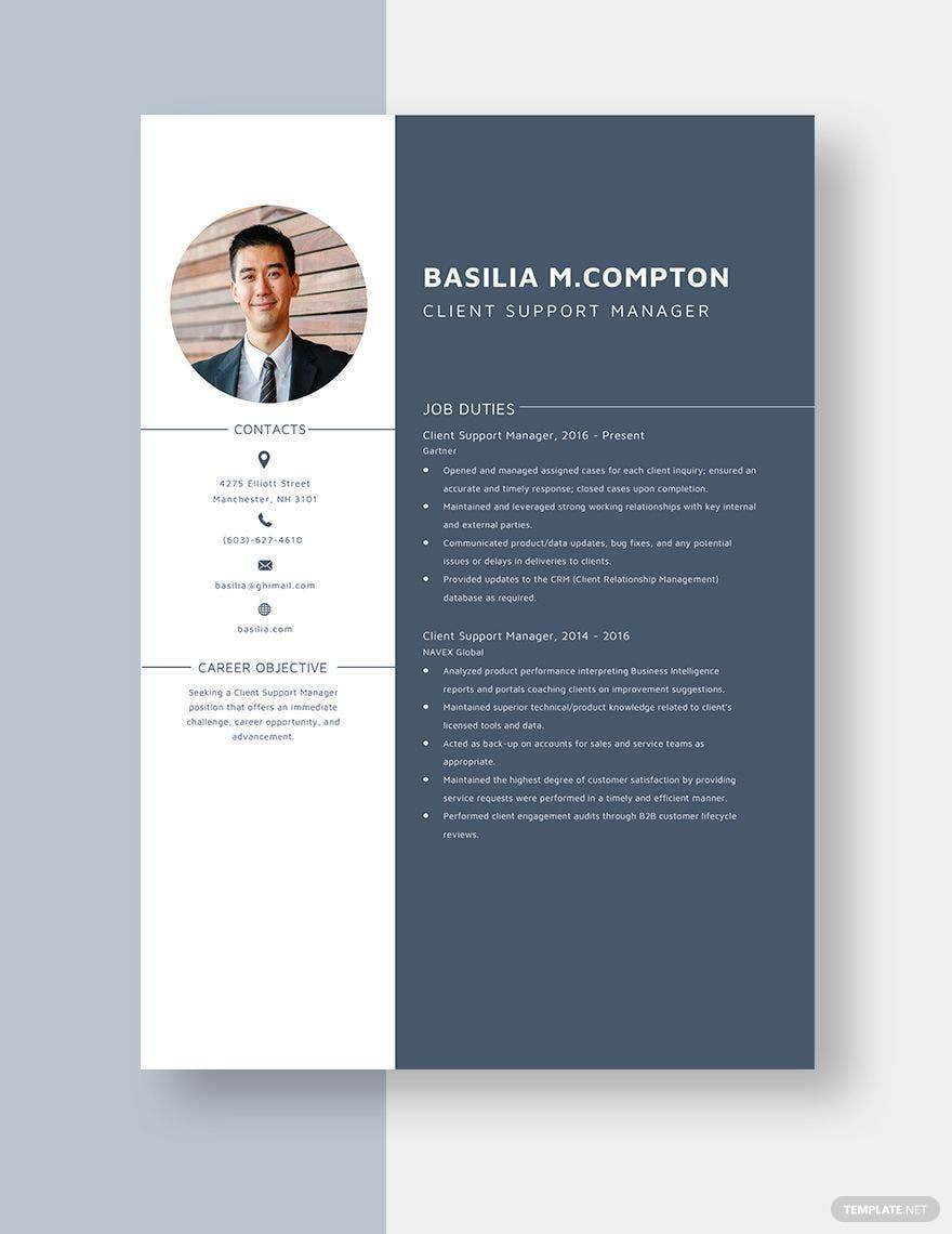 Client Support Manager Resume
