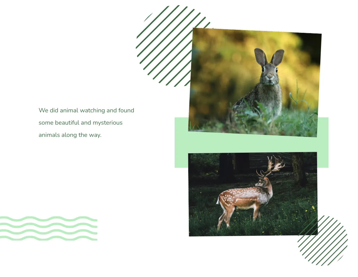 Free Scrapbook Album Template to Edit Online