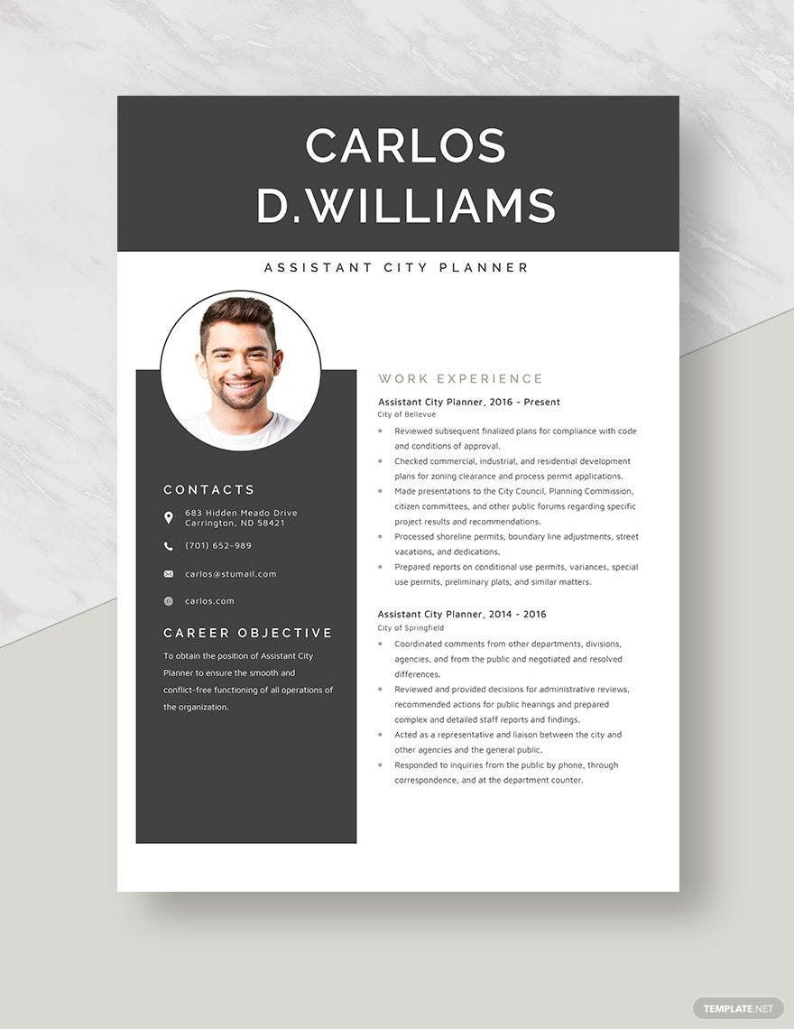 Assistant City Planner Resume in Word, Apple Pages
