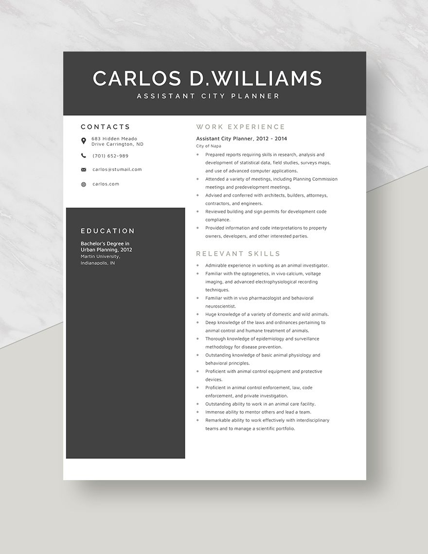 Assistant City Planner Resume
