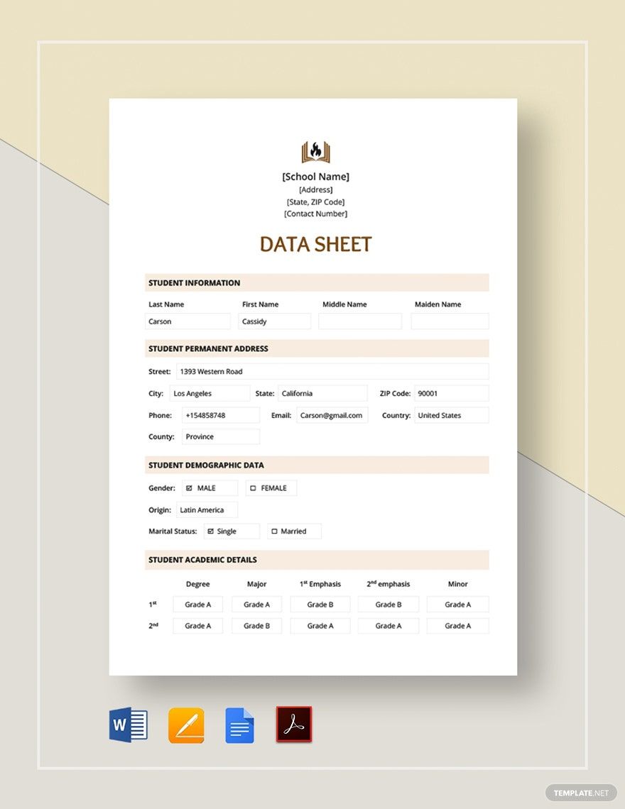 Data Sheet Template in Word, Pages, Google Docs, PDF - Download | Template.net