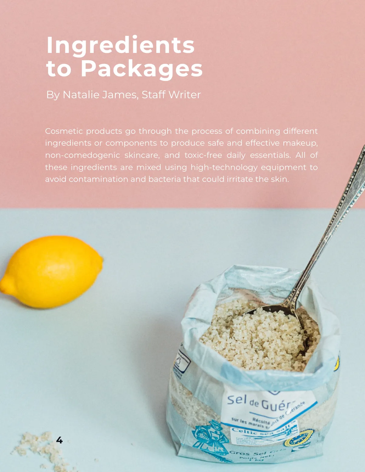 Free Basic Product Magazine Template to Edit Online