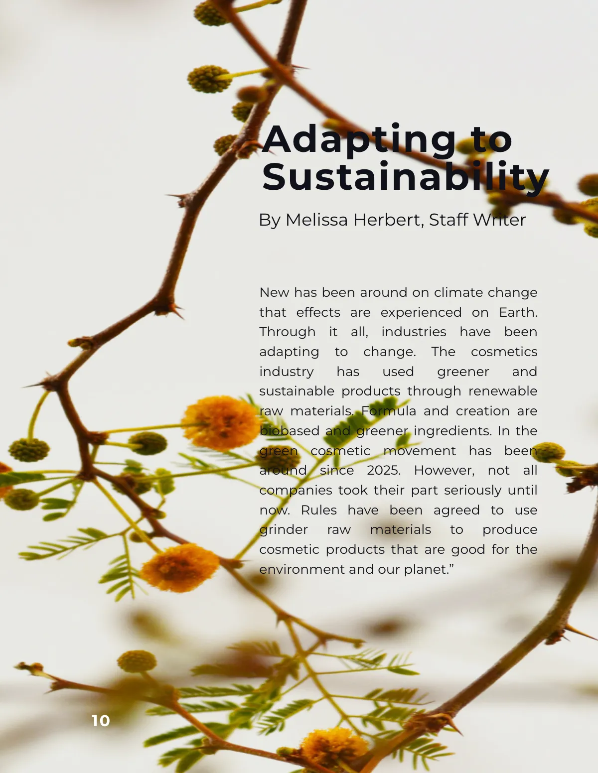 Free Basic Product Magazine Template to Edit Online