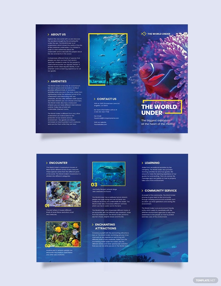 Aquarium Tri-Fold Brochure Template in Word, Google Docs, Illustrator, PSD, Apple Pages, Publisher, InDesign