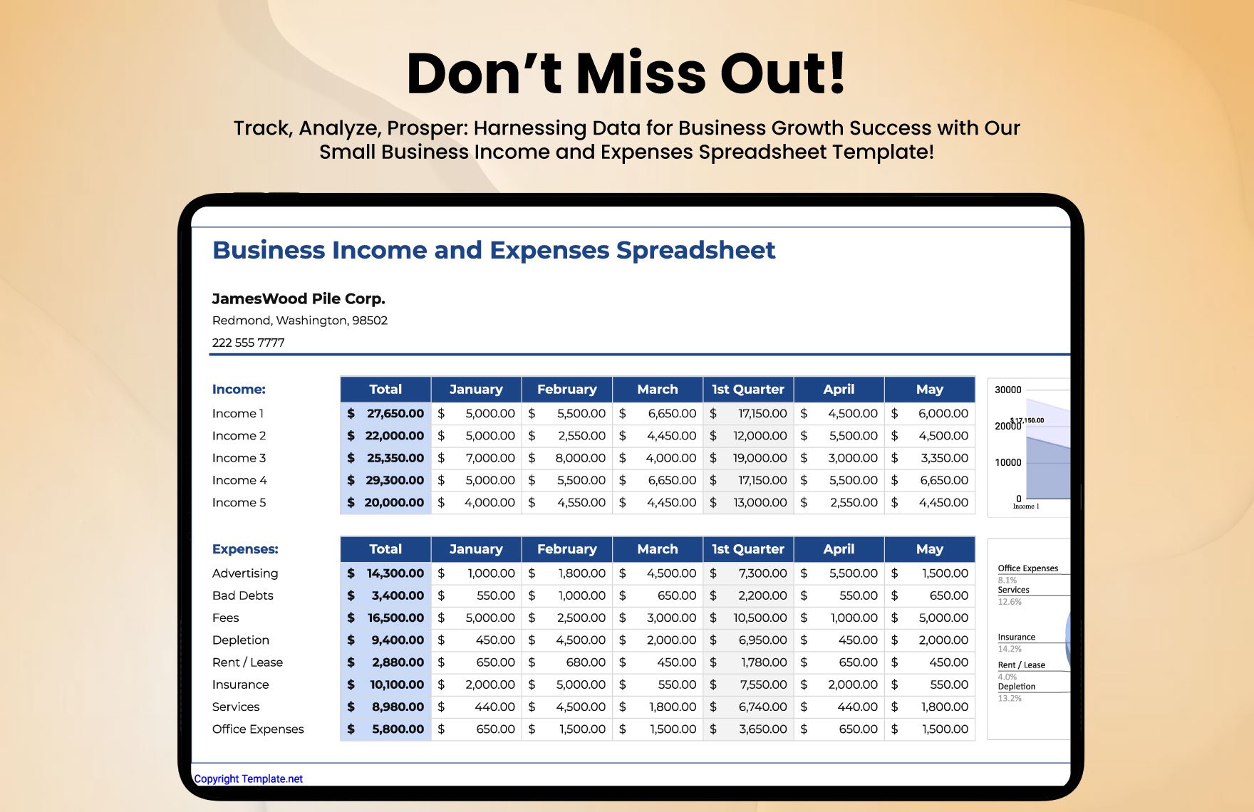 Small Business Income and Expenses Spreadsheet Template