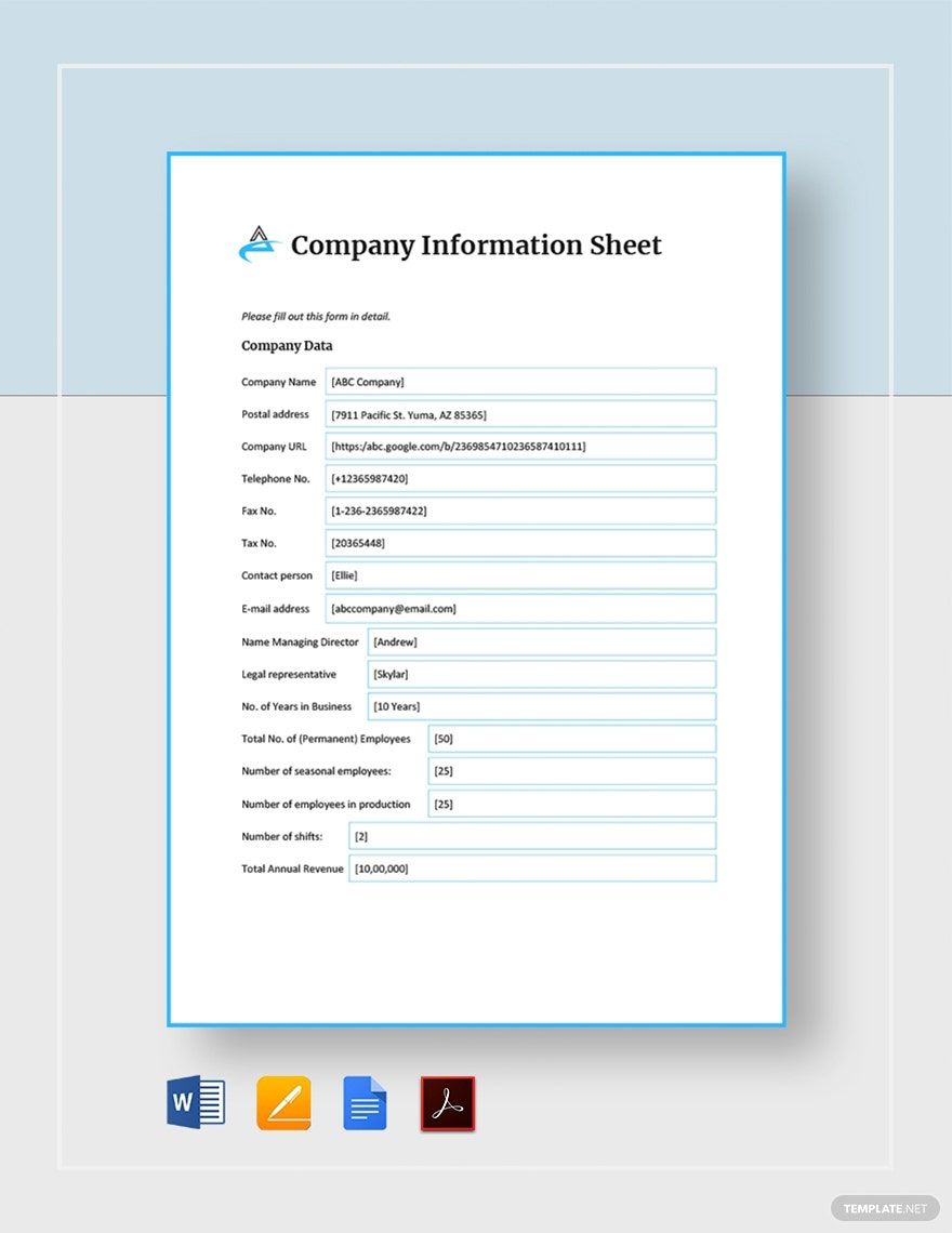 Company Information Sheet Template Download In Word Google Docs PDF 