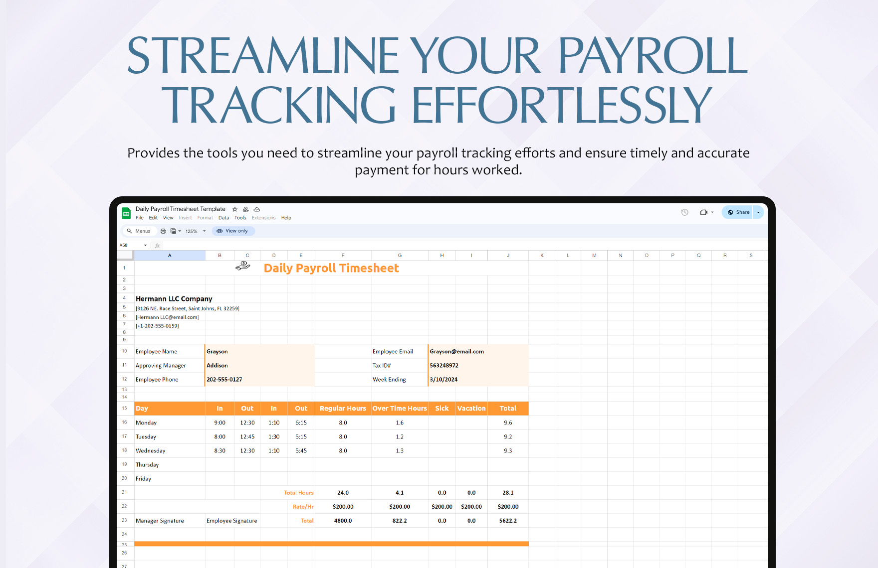 Daily Payroll Timesheet Template