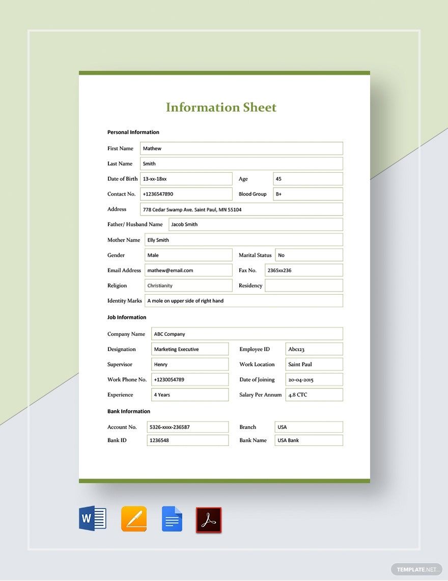 Information Sheet Template In Pages Word Google Docs PDF Download