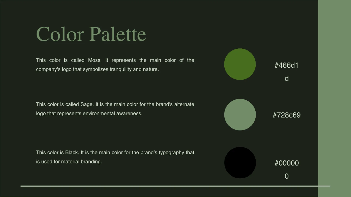 Free Skincare Brand Guidelines Template to Edit Online