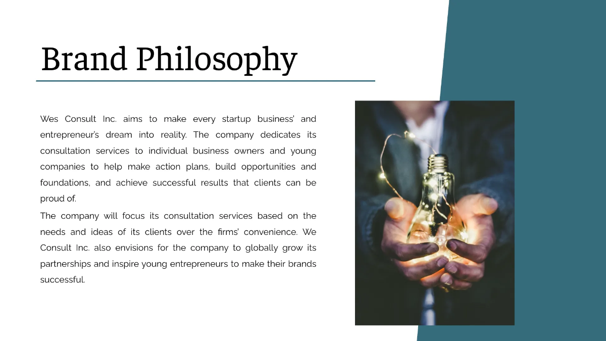 Free Professional Brand Guidelines Template to Edit Online