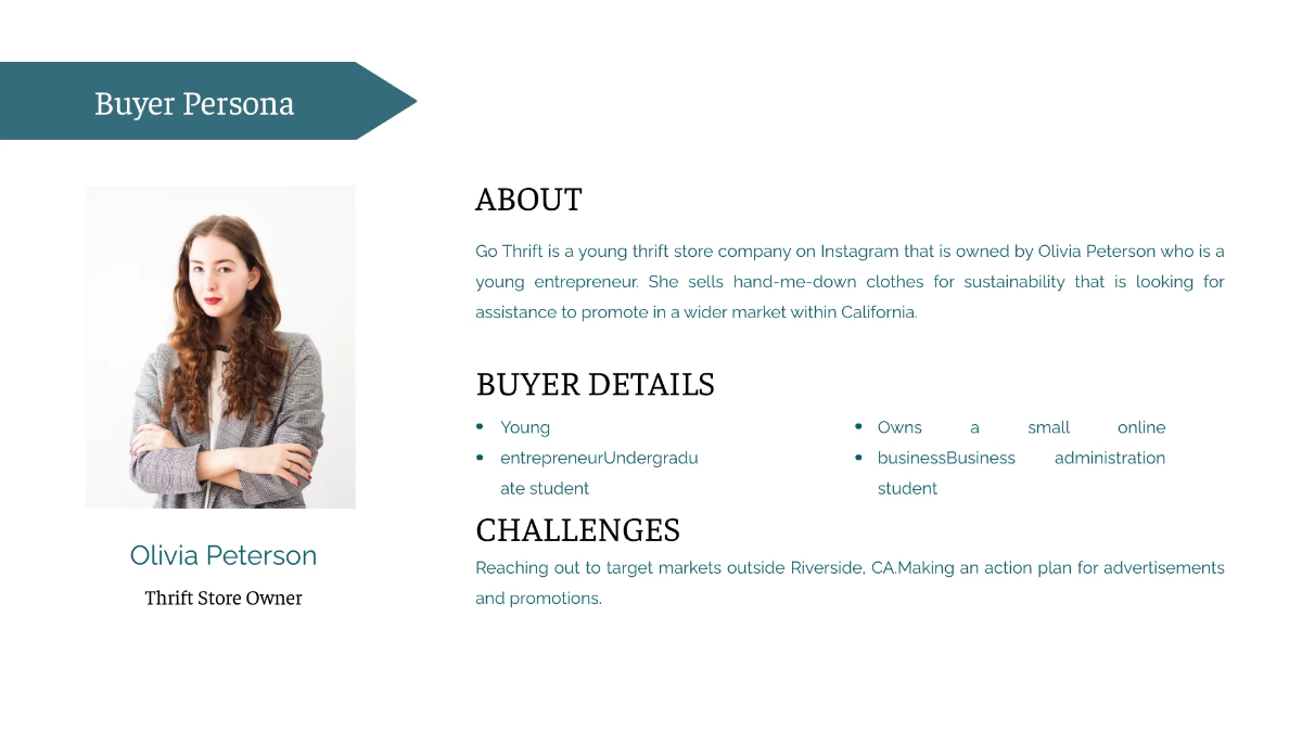Free Professional Brand Guidelines Template to Edit Online