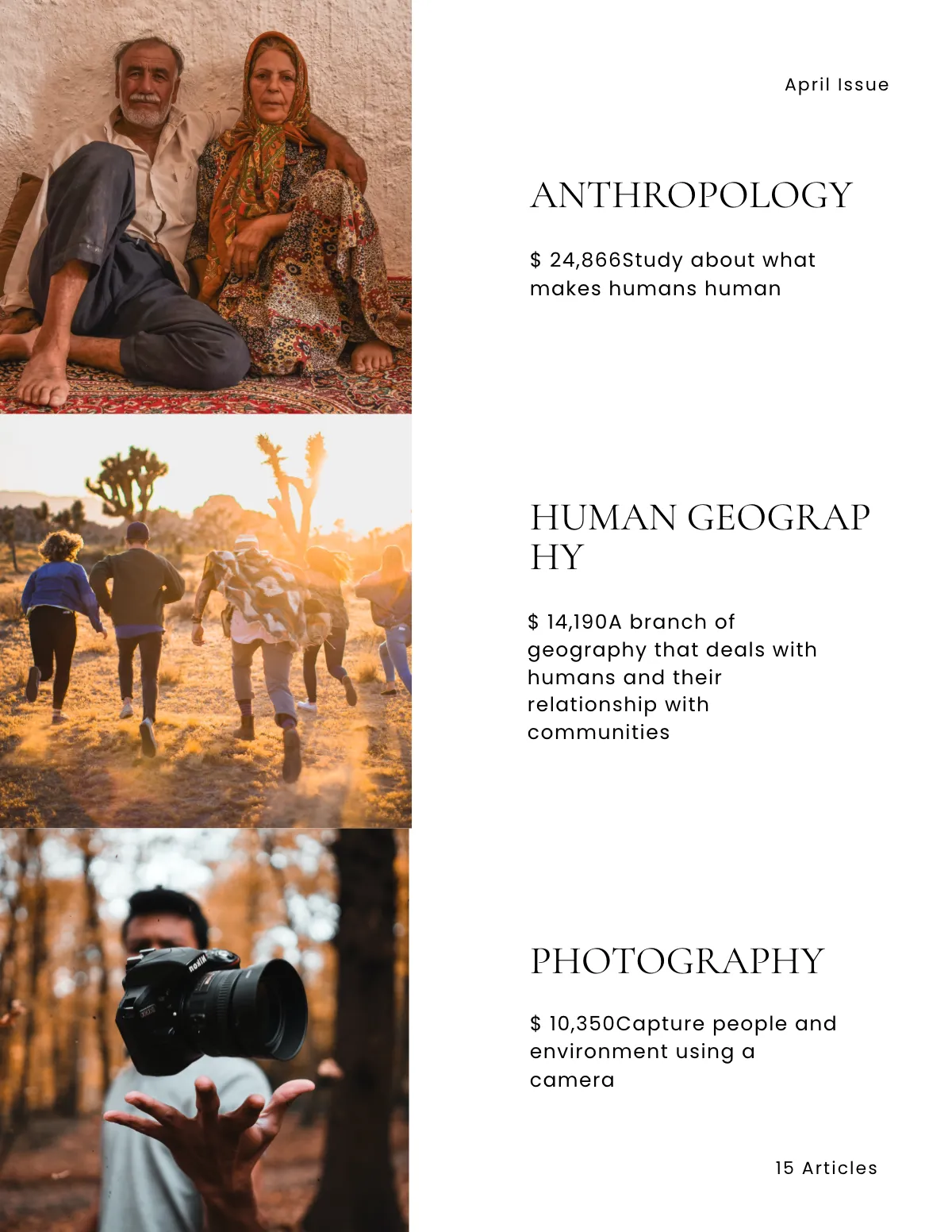 Free University Course Catalog Template to Edit Online