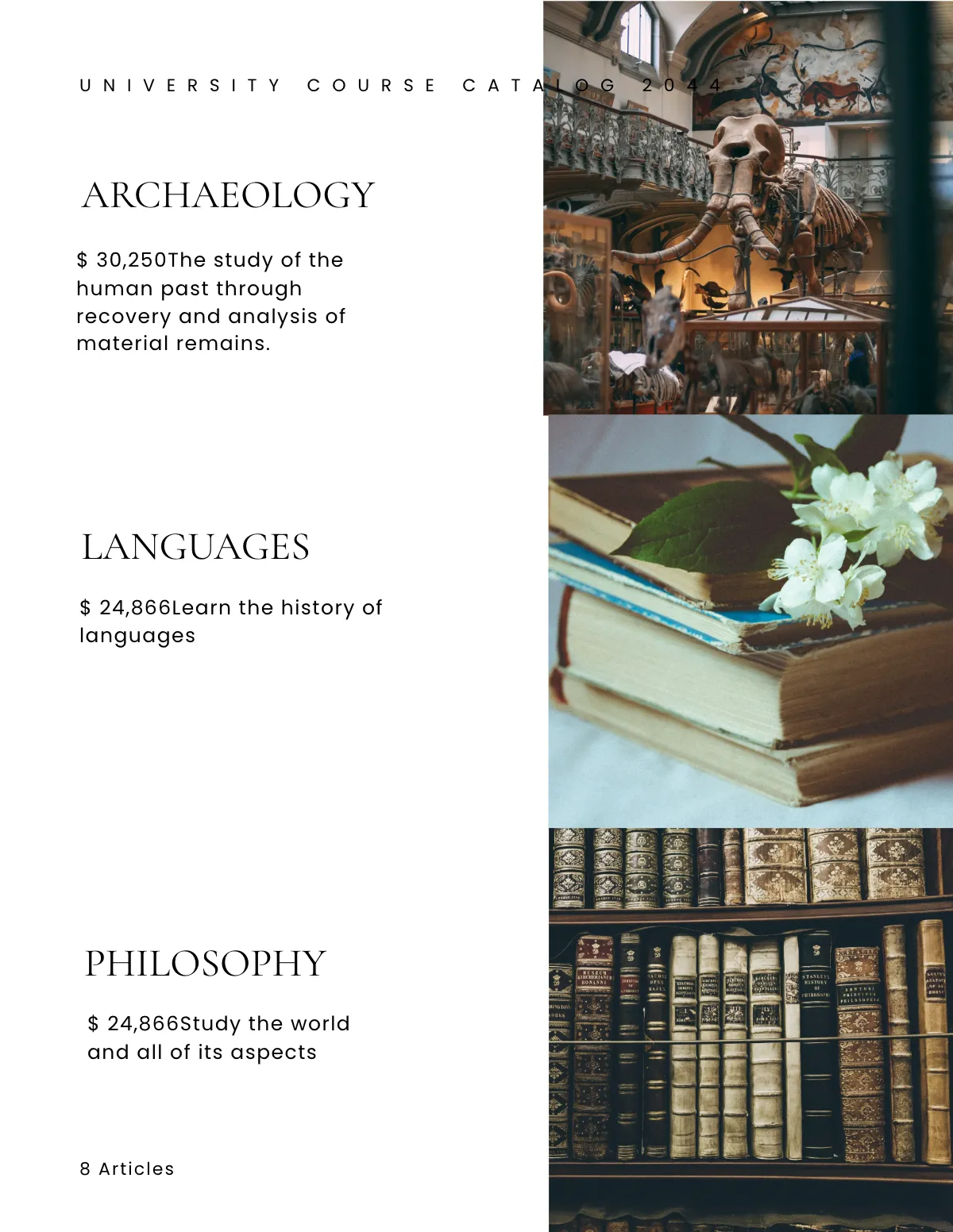 Free University Course Catalog Template to Edit Online