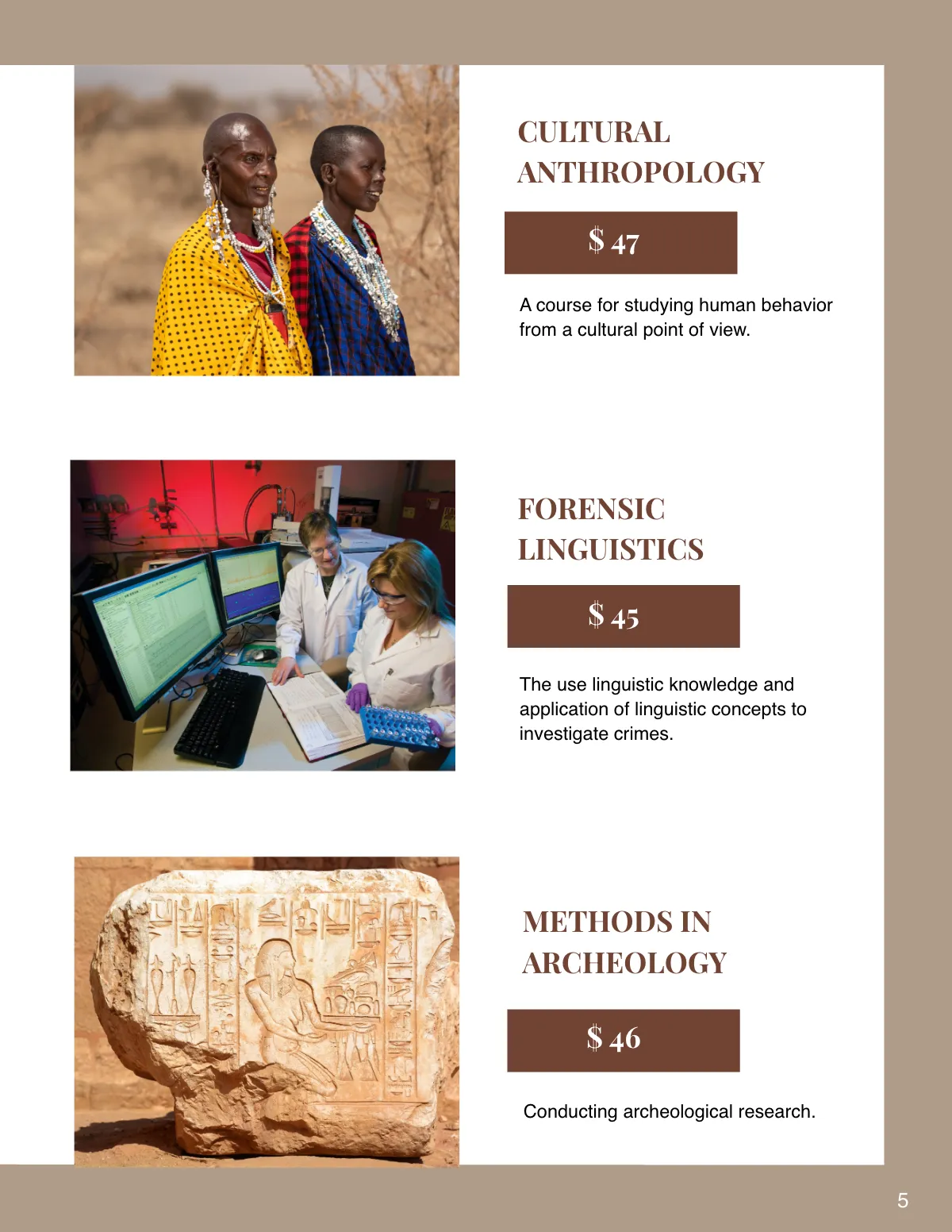 Free Course Catalog Template to Edit Online