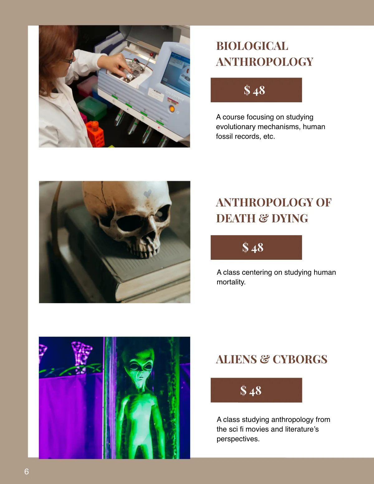 Free Course Catalog Template to Edit Online