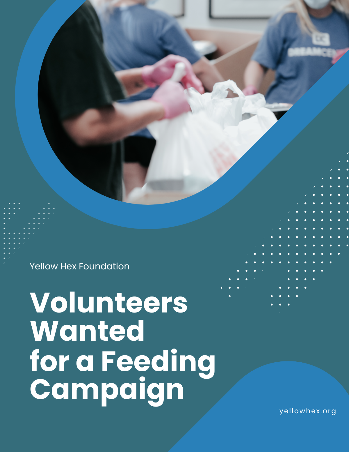Volunteer Campaign Ad Flyer