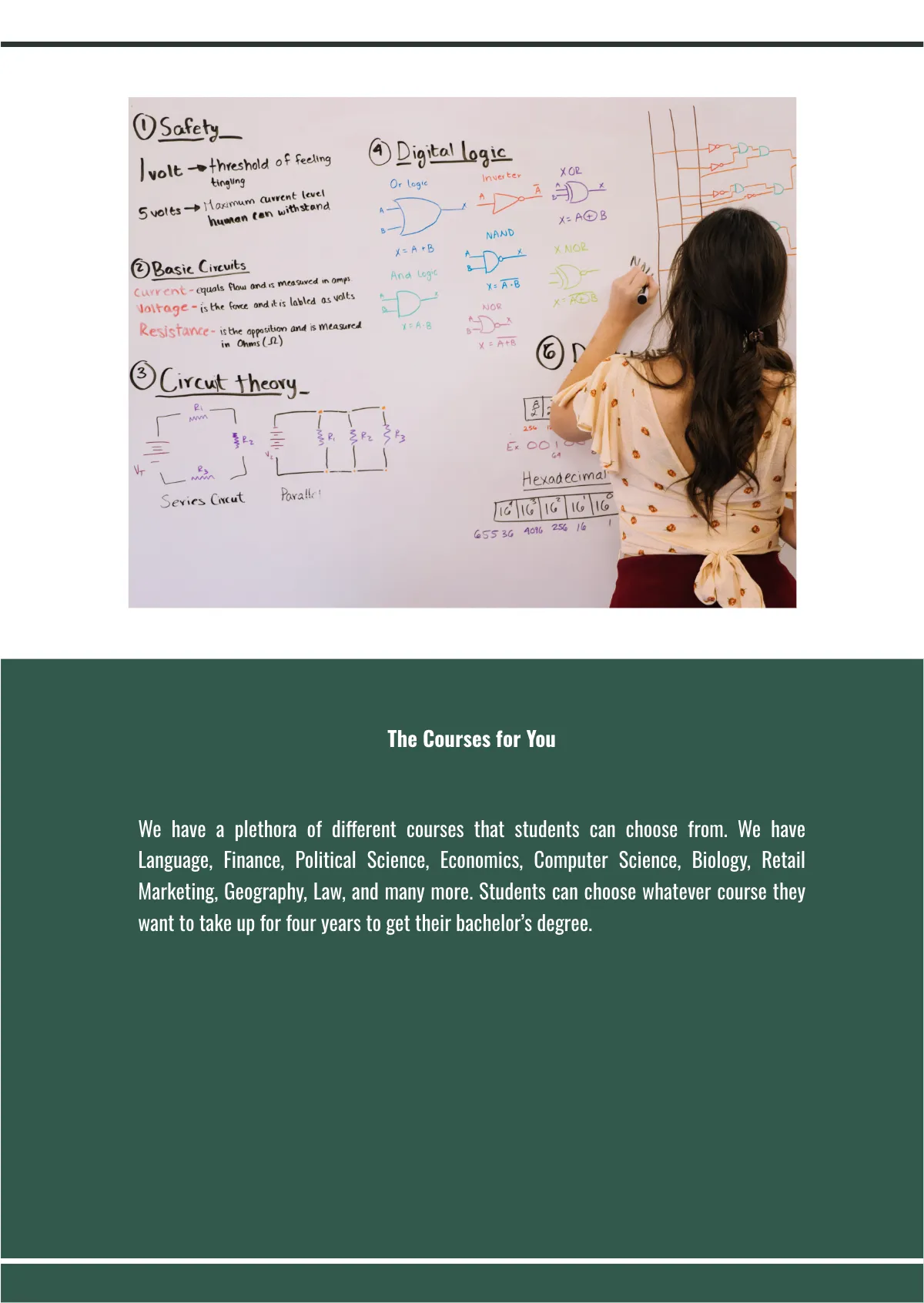 Free University Flip Book Template to Edit Online