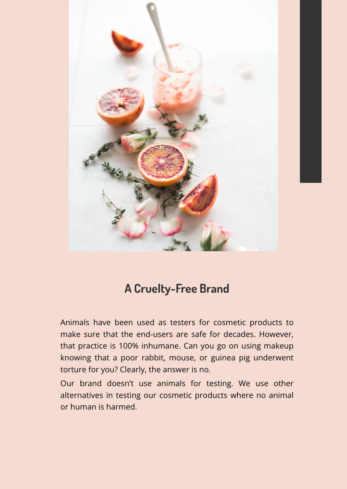 Free Digital Flipbook Template to Edit Online