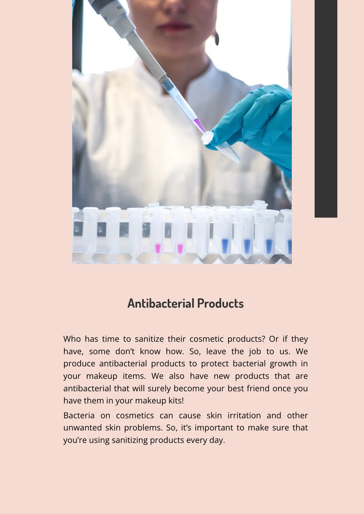 Free Digital Flipbook Template to Edit Online