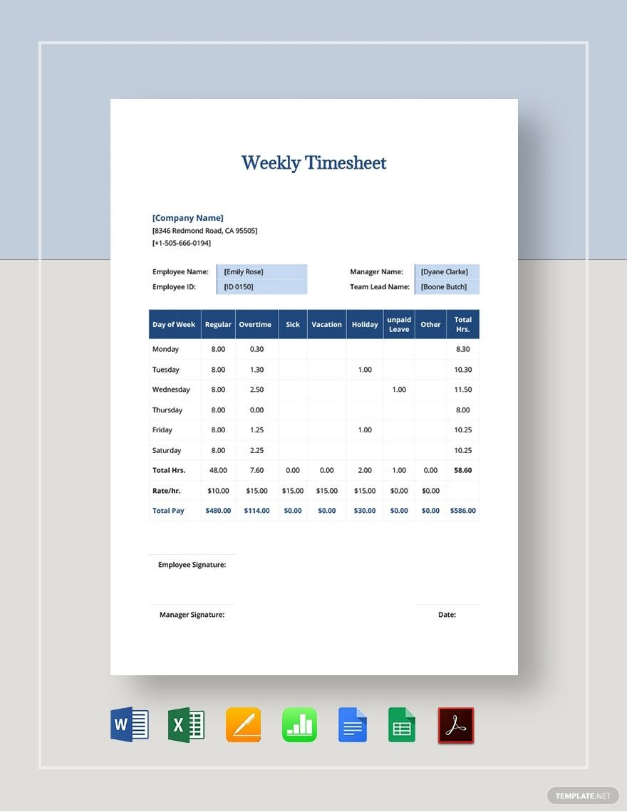 Free Sample Work From Home Timesheet Template - Google Sheets, Excel ...