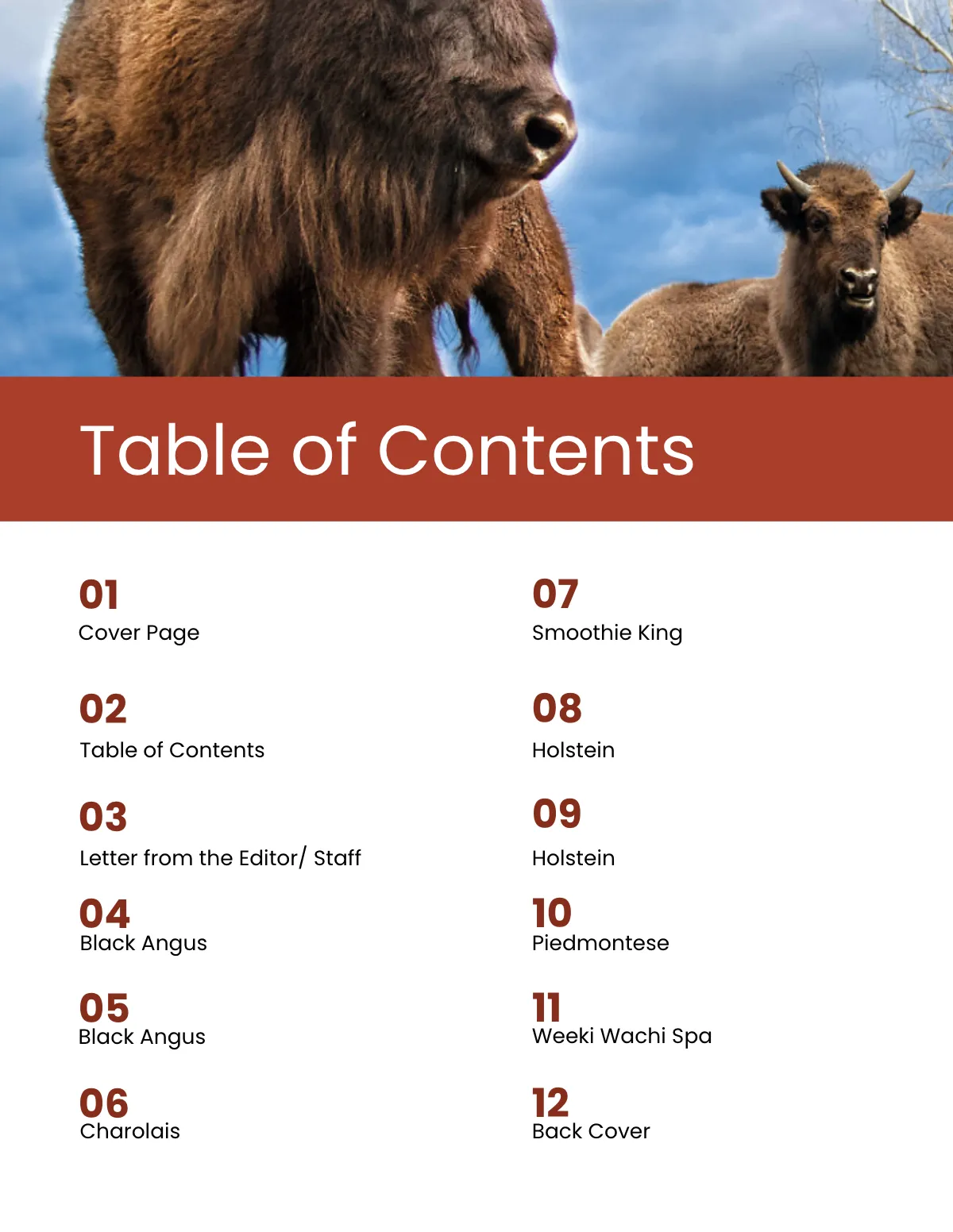 Free Bull Sale Catalog Template to Edit Online