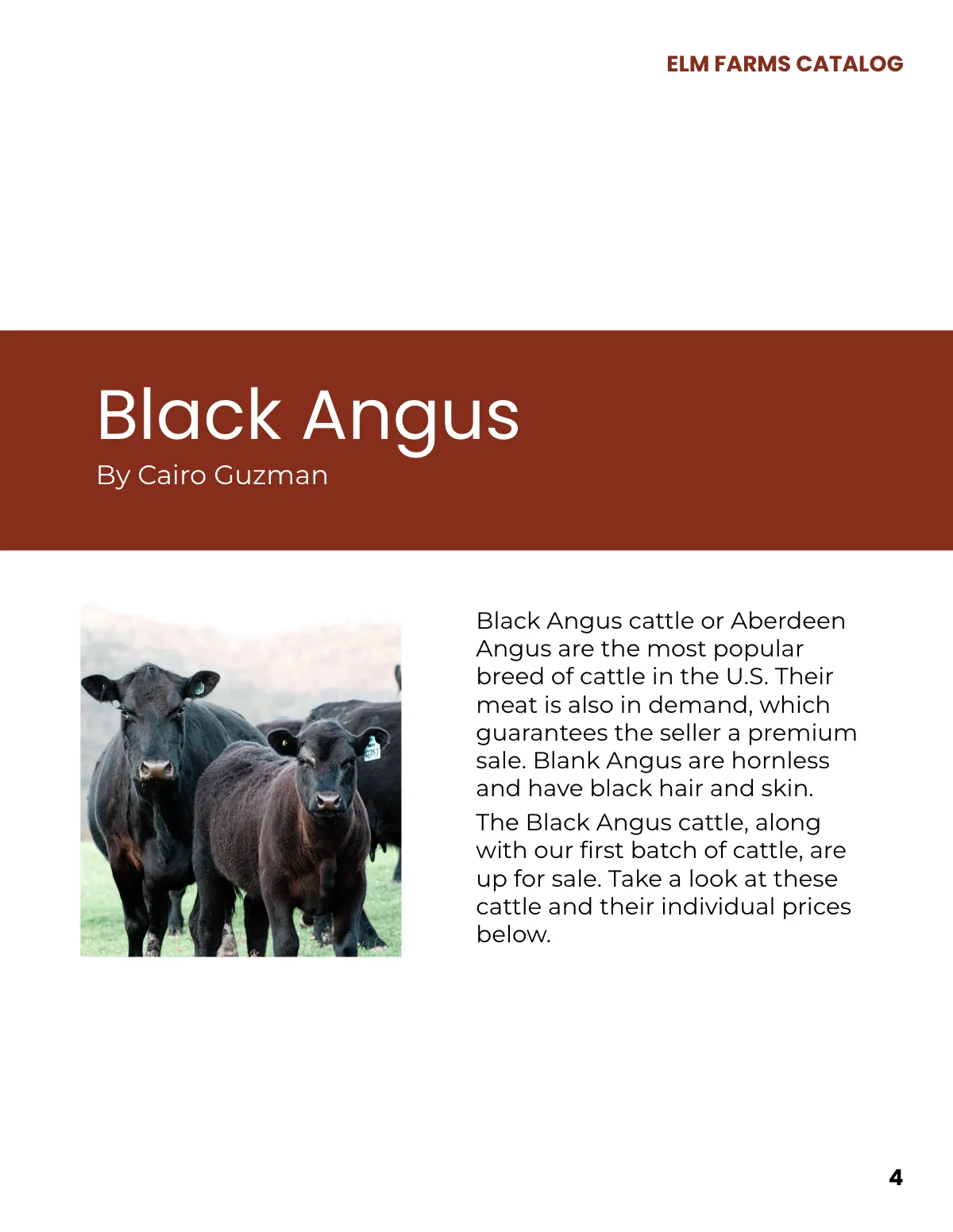 Free Bull Sale Catalog Template to Edit Online