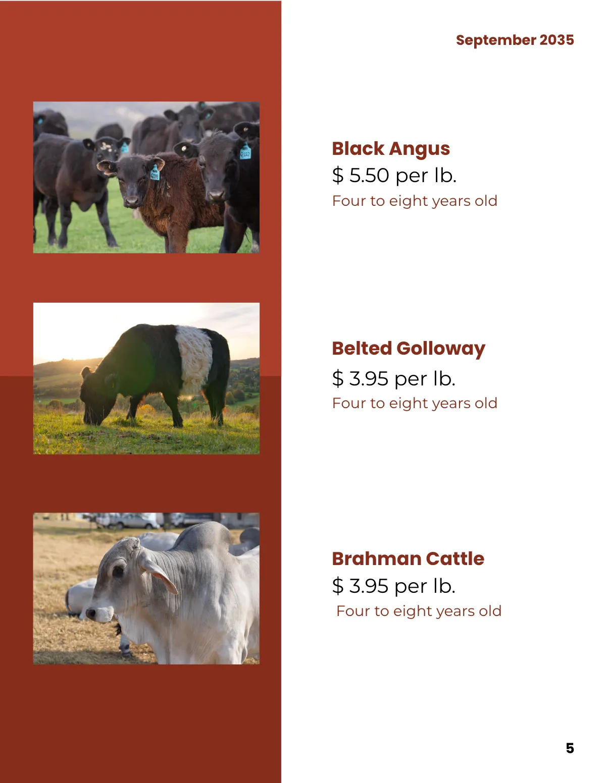 Free Bull Sale Catalog Template to Edit Online