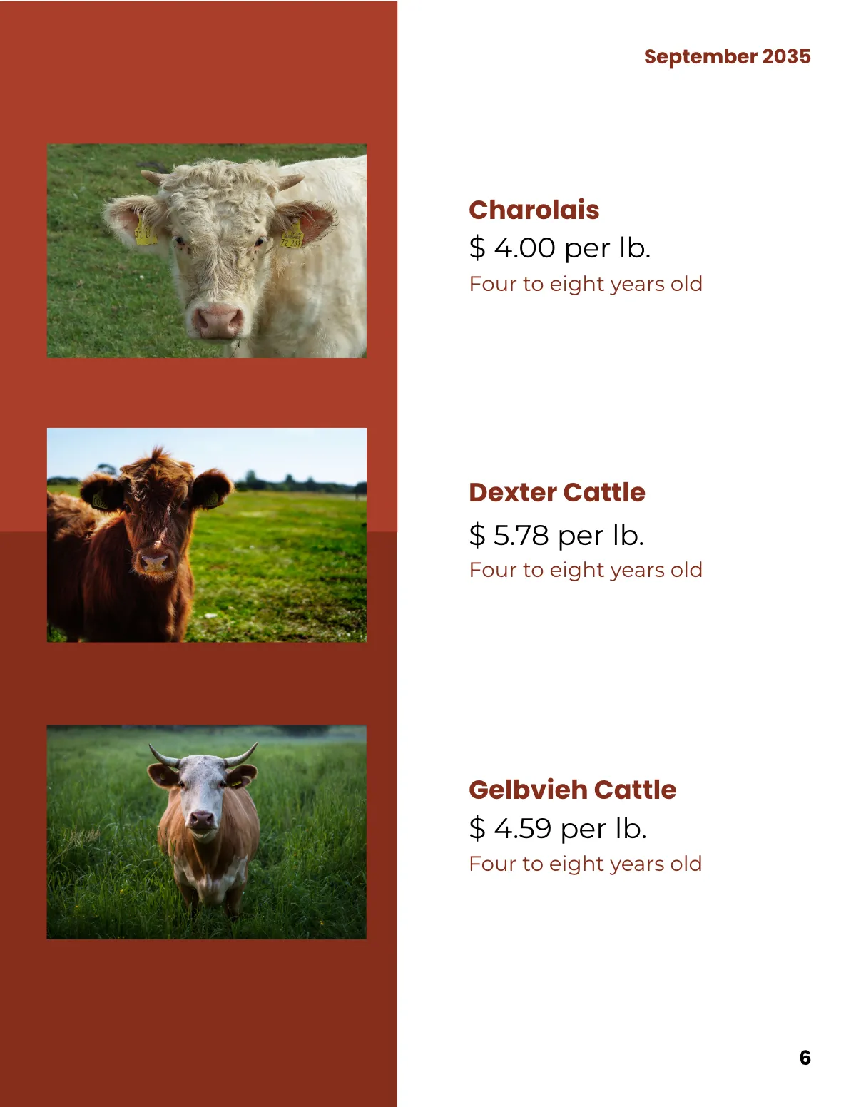 Free Bull Sale Catalog Template to Edit Online