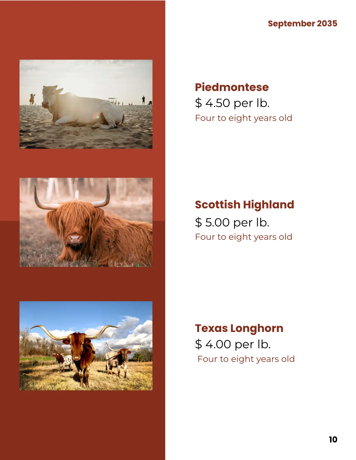 Free Bull Sale Catalog Template to Edit Online