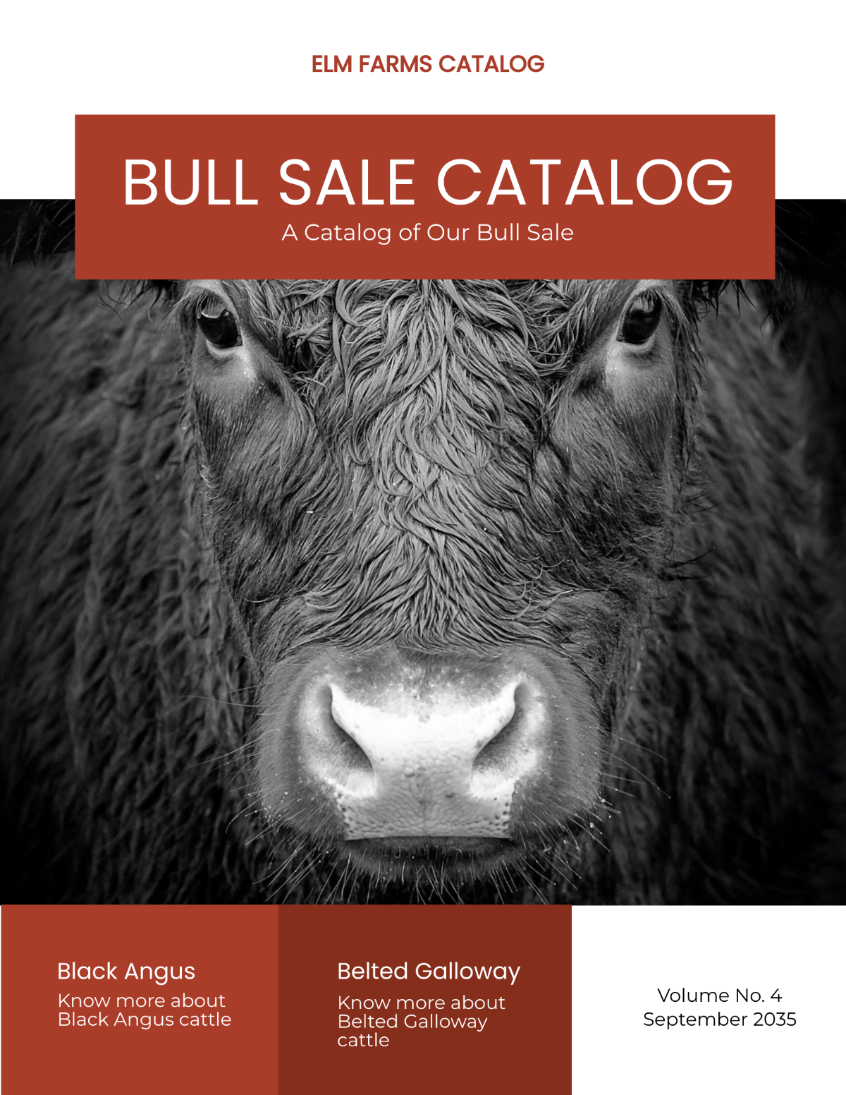 Bull Sale Catalog Template