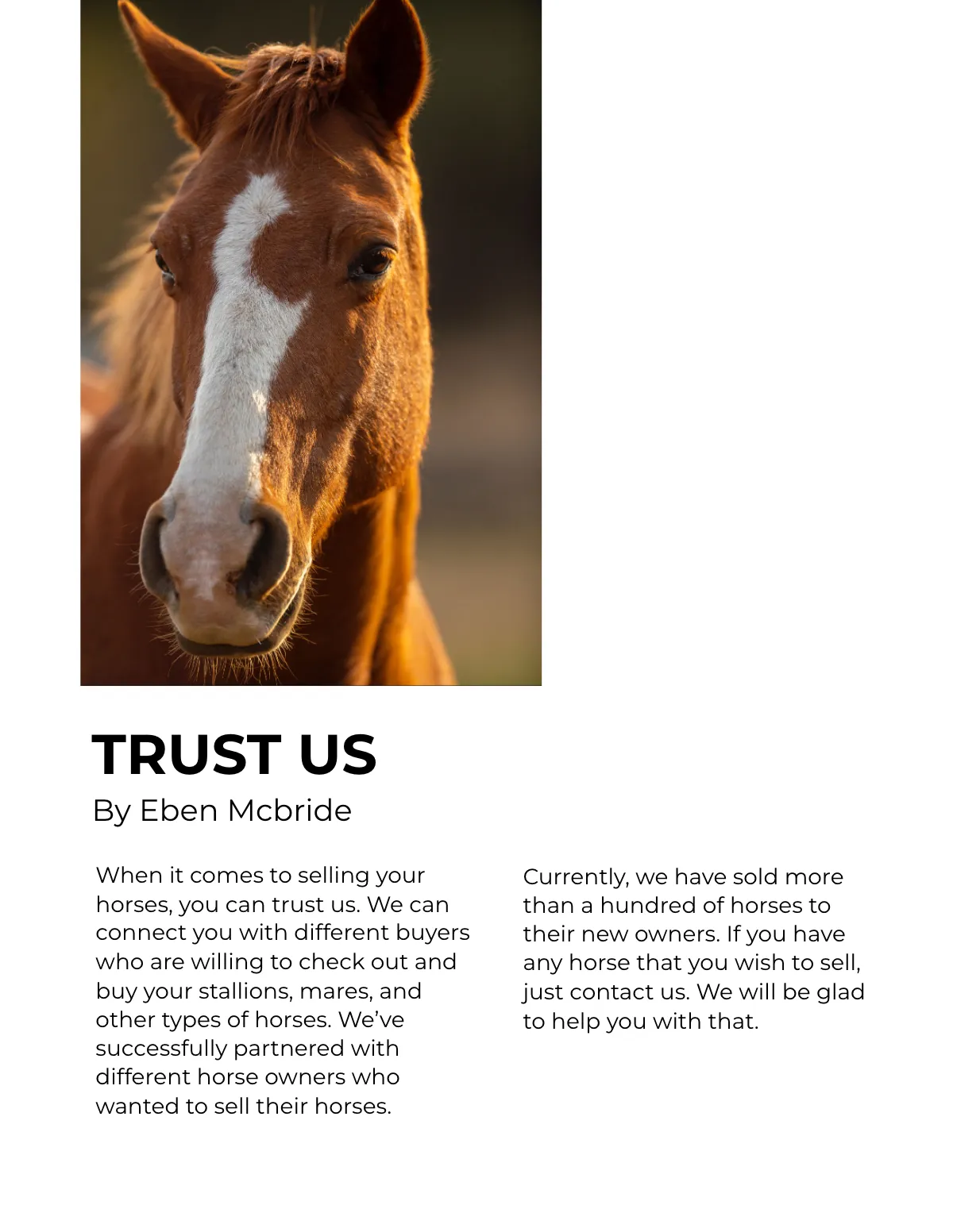Free Horse Sale Catalog Template to Edit Online