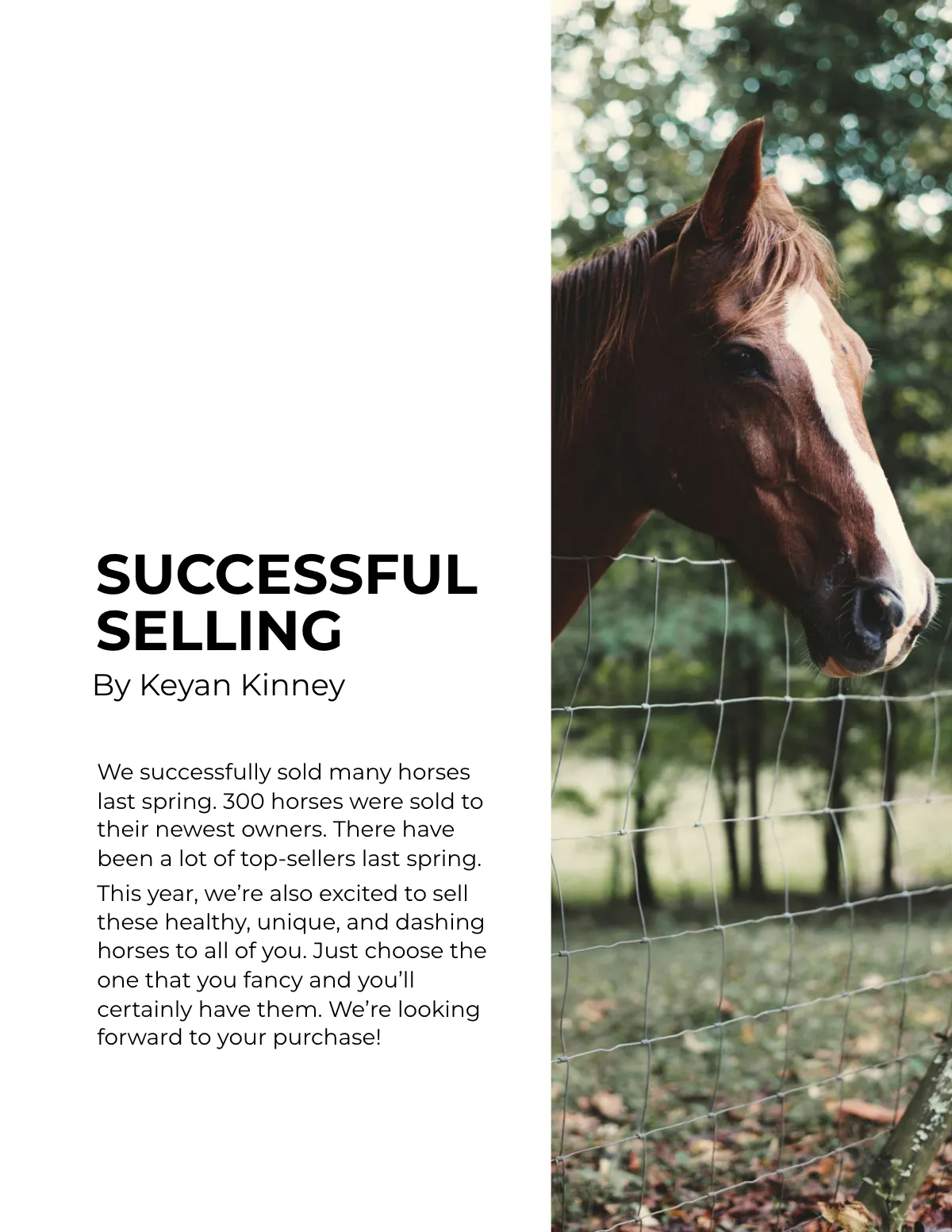 Free Horse Sale Catalog Template to Edit Online