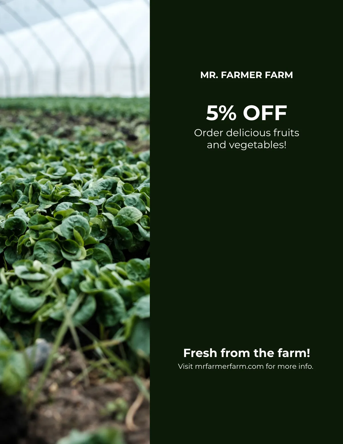 Free Horse Sale Catalog Template to Edit Online