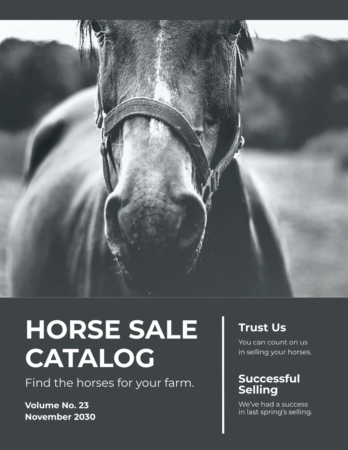 Horse Sale Catalog