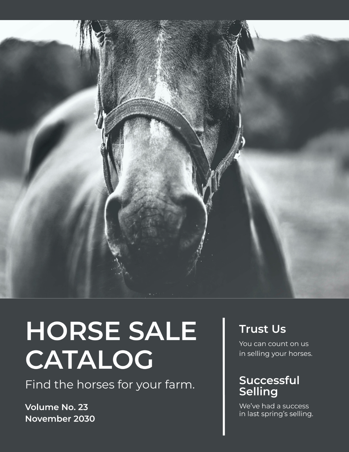 Horse Sale Catalog Template