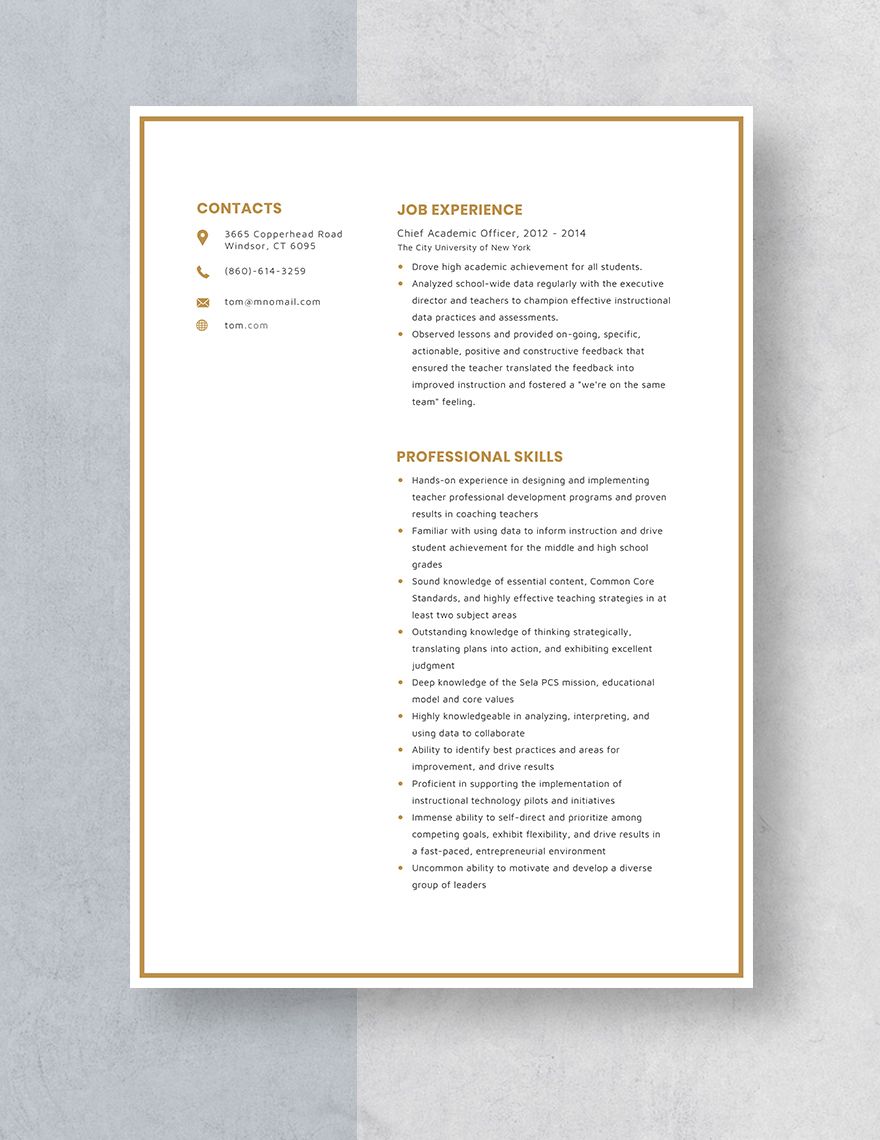 Chief Academic Officer Resume