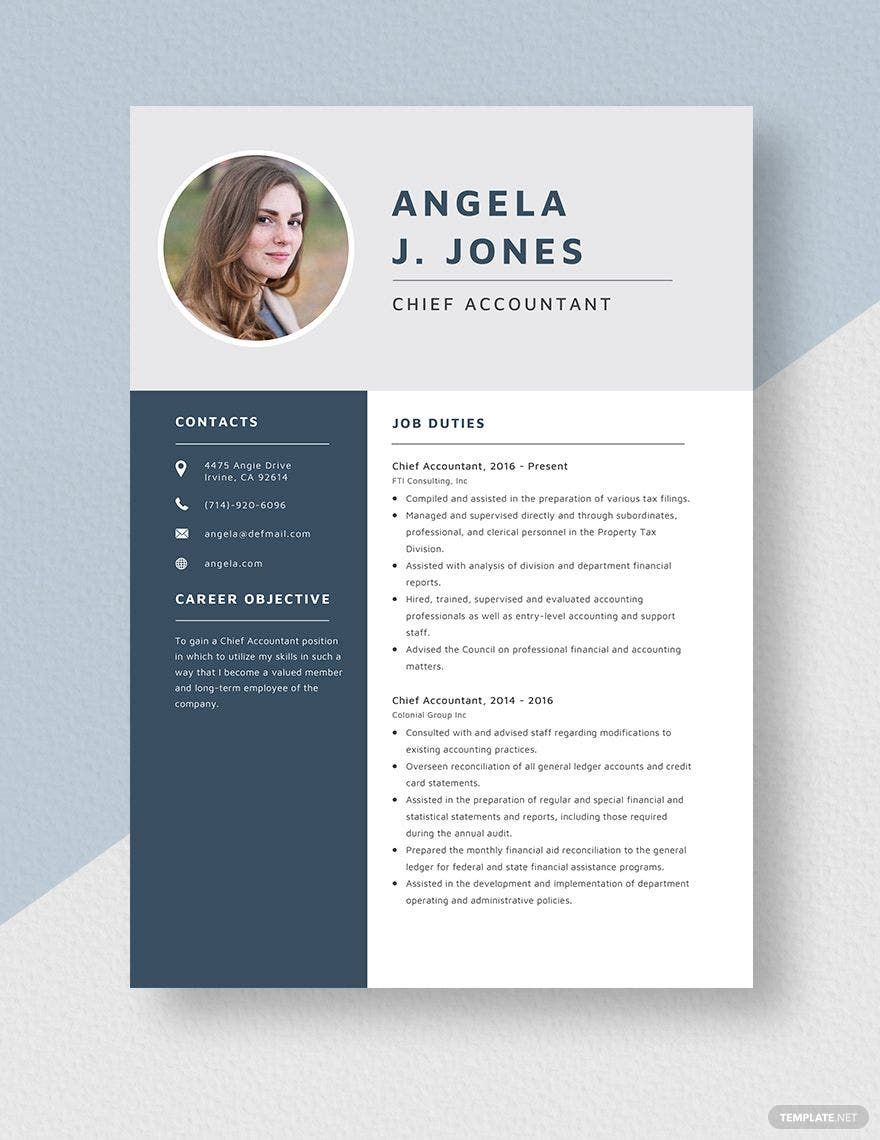 Chief Accountant Resume Template