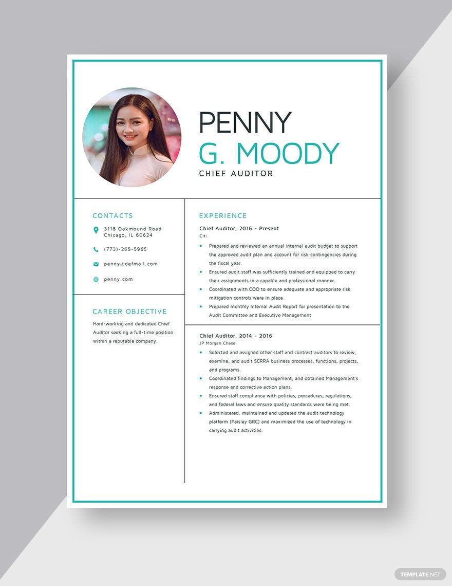 Chief Auditor Resume Template