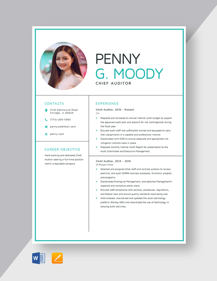 Tax Auditor Appointment Letter Template Free PDF - Word ...