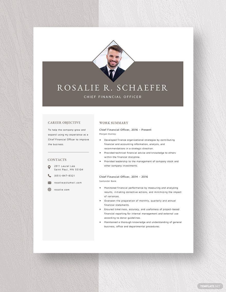 Chief Financial Officer Resume