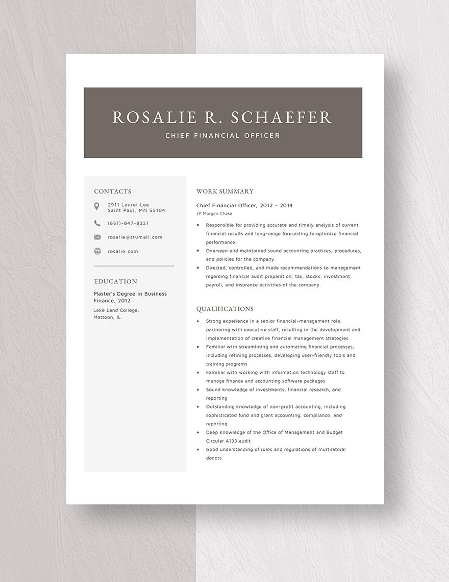 Chief Financial Officer Resume