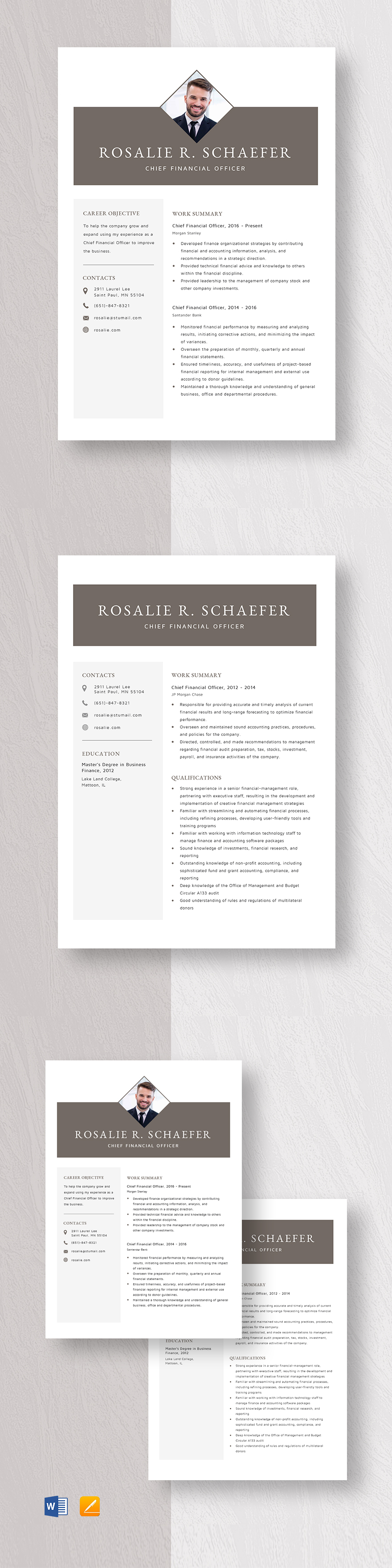 chief-medical-officer-resume-template-word-apple-pages-template